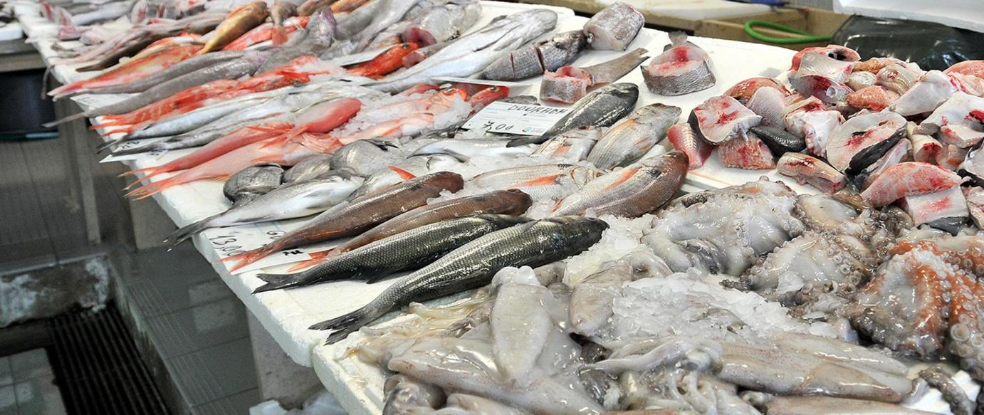 Município e Pescadores da Nazaré estudam criação de Cabaz de Peixe